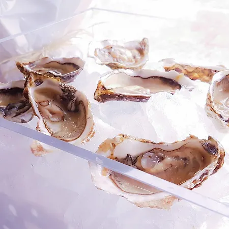 호텔 Fly Deco 리도디오스티아