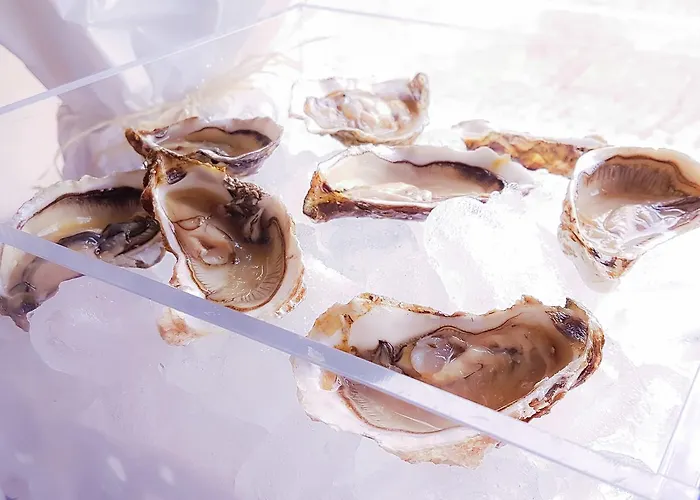 Hotell Fly Deco Lido di Ostia